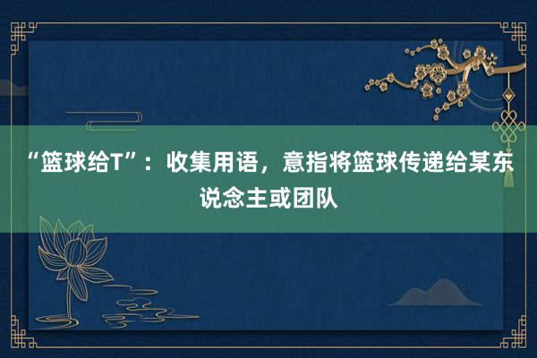 “篮球给T”：收集用语，意指将篮球传递给某东说念主或团队